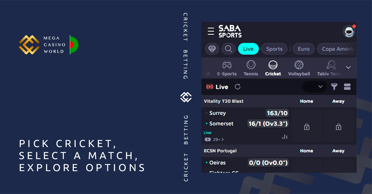 Pick Cricket, choose a match, explore available odds - MCW Bangladesh